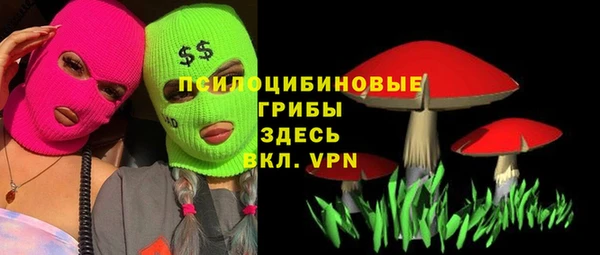 спайс Беломорск