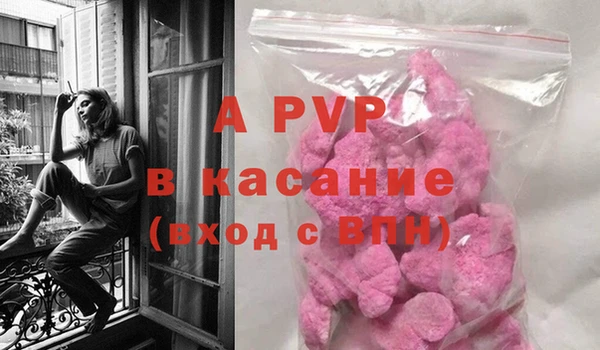 спайс Беломорск
